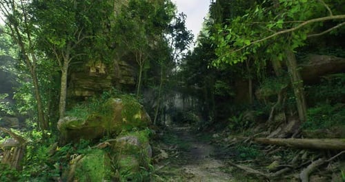 Mysterious Forest Path Surrounded By Lush Green Foliage and Ancient Rocks