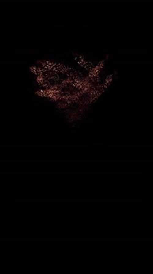 Realistisches Himmelsfeuerwerk Vfx (3)