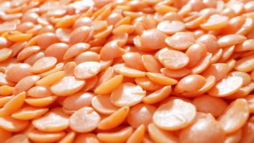 Pile of Vibrant Orange Lentils