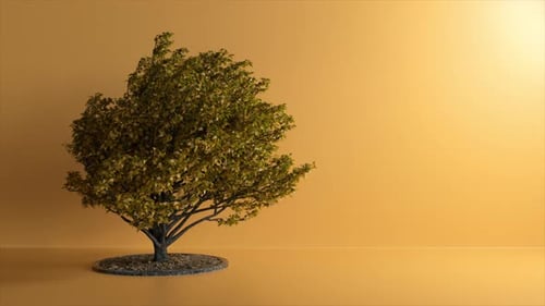 Tree in the Studio on a Orange Background The Wind Shakes Branches and Leaves 3d Animation