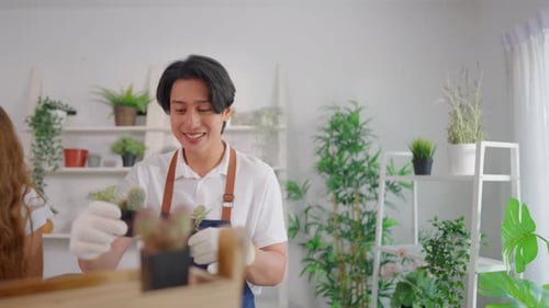 Asian young couple working, caring for plants together in a tree shop.