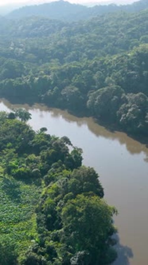 Aerial View Flying Over Costa Rica Sierpe Mangrove Forest River
