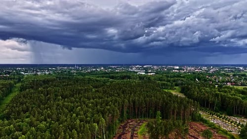 Waterspout falling from a dense cloud over a forest in background