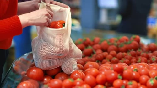 Mujer recogiendo tomates en una bolsa reutilizable en una tienda. Temáticas del Día de la Tierra y la Ecología