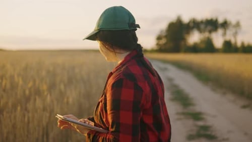 Agronomist Farmer Business Woman Looks Into Tablet in Wheat Field