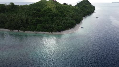 aerial view of the coastline filled with coconut trees. Tropical island