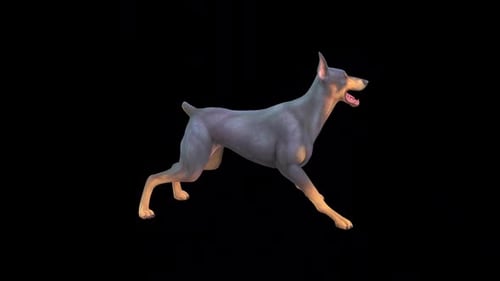 Black Hound Dog Attack 2