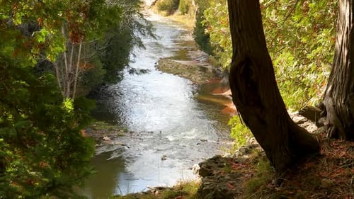 A lazy stream meanders through a forest, and the camera slowly pans downstream.
