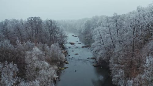Forêt et rivière en hiver. Vue aérienne de la forêt et de la rivière en hiver