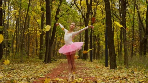 Ballerina Dancing in Autumn Forest with Falling Leaves