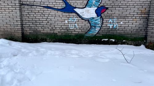 Bird Graffiti Art on Brick Wall in Winter