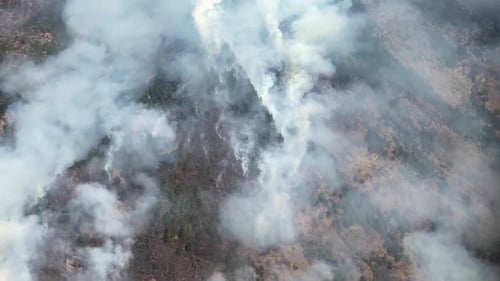 A huge forest fire and lots of smoke covering the side of a hill in Nepal as seen from the air.