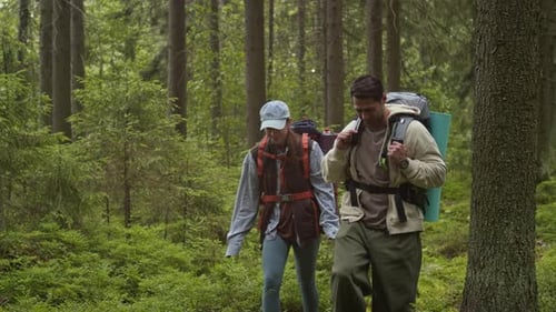 Interethnic Couple Hiking among Trees during Forest Travel