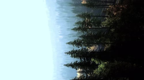 Vertical Format of Misty Mountain Forest Landscape in the Morning