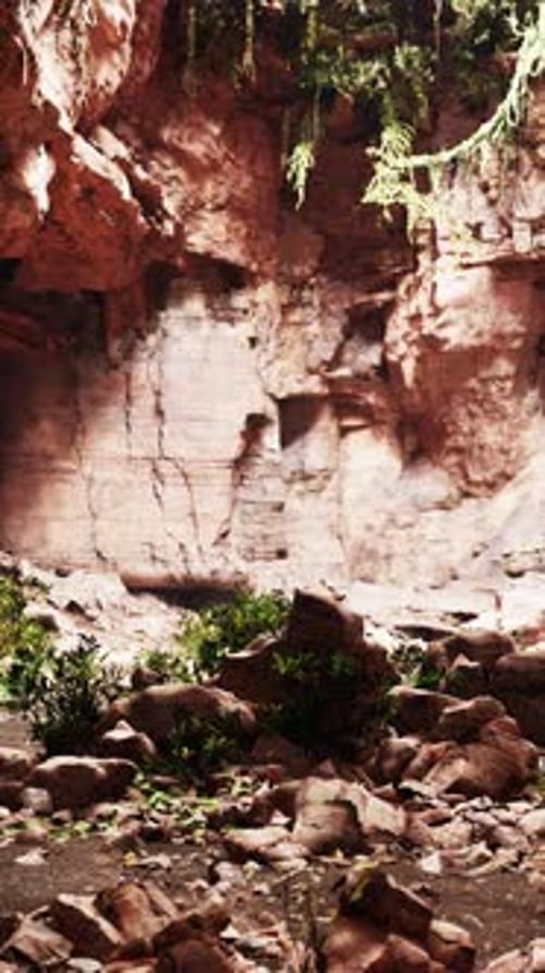 Rocky Terrain With Plants