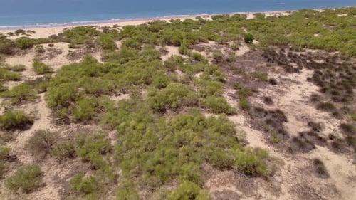 Flight over the beach line and sandbanks. Coast line and beach. Aerial view revelation. Andalusia. S