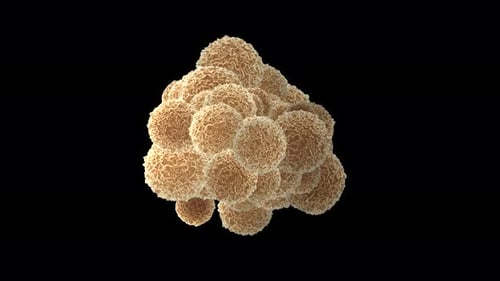 3D textured DNA bacteria cells multiply and flow gently on black screen