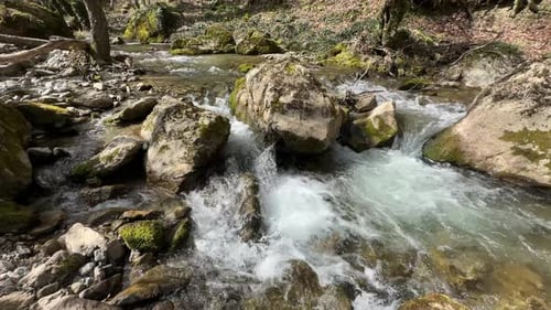 Flowing Stream in Spring