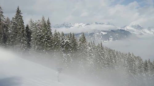 Snowy Forest Stretches Toward Misty Mountain Tops