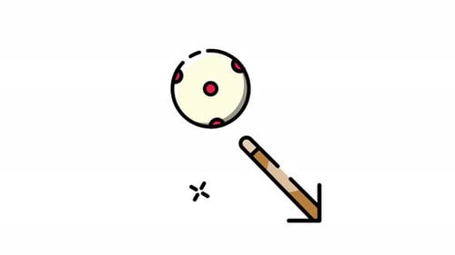 Bola Cue