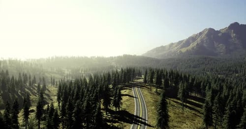 Vista panorâmica da estrada sinuosa através de montanhas arborizadas durante o dia