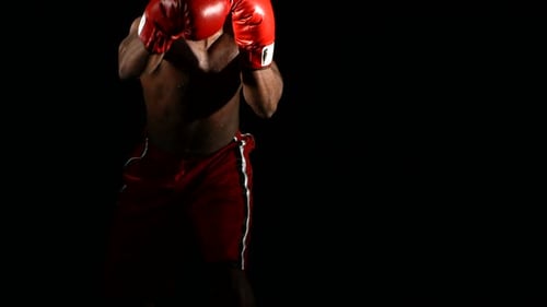 Boxer Punching In