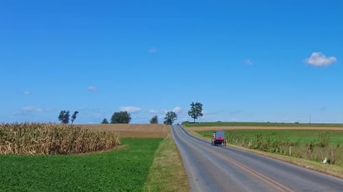 An Amish Horse and Buggy Trotting Away Down a Country Road on a Beautiful Sunny Day