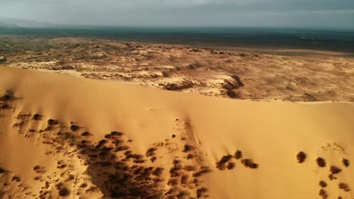 Drone Pilots Capture Expansive Landscapes Vast Golden Desert with Rippled Sands and Coastal Greenery