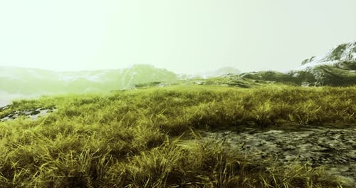 Prairie verte luxuriante avec montagnes sur fond brumeux