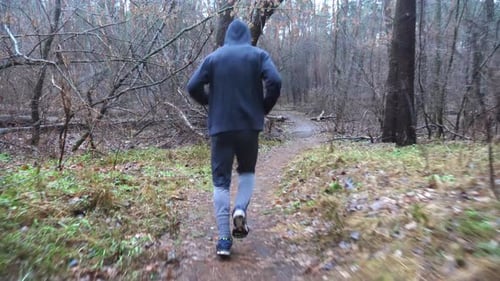 Young Sportsman Running Along Path at Woodland Sporty Runner Jogging Along Trail at Autumn Forest