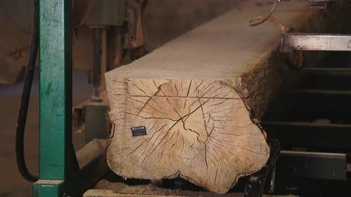 À la scierie, une scie coupe du bois brun. Écorce d'arbre et vieille scie rouillée. Gros plan. Travailler à la scierie