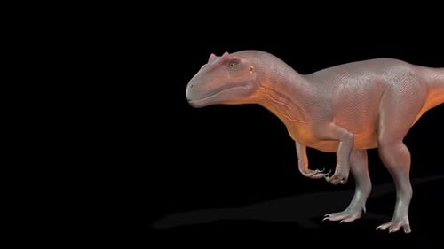 Allosaurus Dinosaur 2