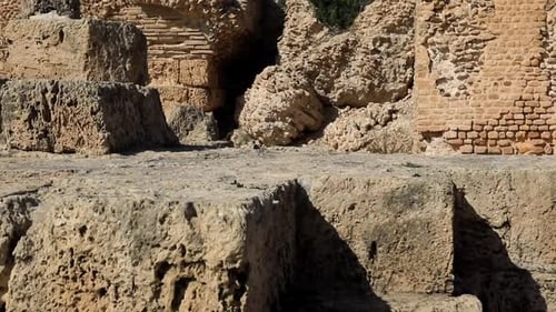 Sunlit ancient Roman ruins at Carthage, Tunisia, with stone steps leading to arches
