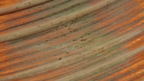 Macro Shot of Drum Steel Copper Cymbals Instrument Parts Drum Kits Texture