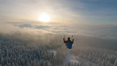 Dream Flying Paragliding Abovein Winter Forest Nature, Freedom Adrenaline Adventure