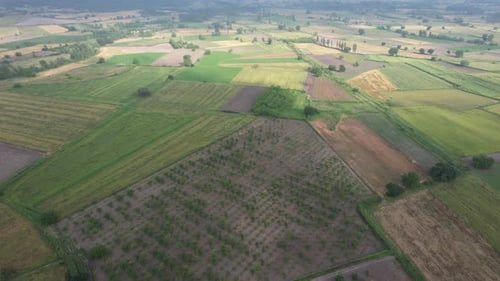 Aerial View of Green Farmland in Rural Landscape
