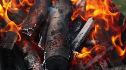Charcoal in orange flame. Burning out wooden logs in campfire. Embers of wood for barbecue.