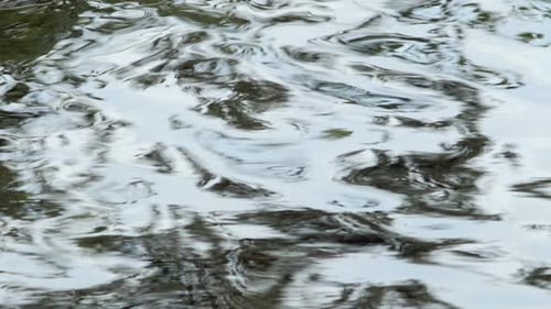 Water surface of the lake in summer
