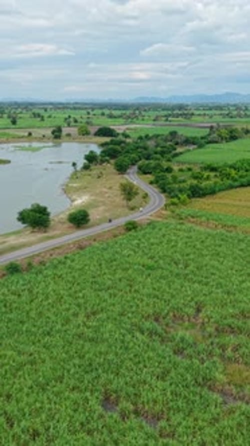 Grande plaine pleine de végétation qui longe le lac Pasak Chonlasit vu du ciel