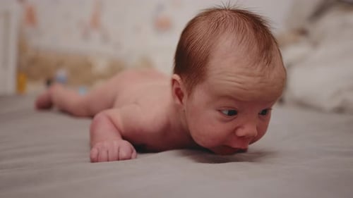 Newborn baby lying on his tummy trying to hold his head.