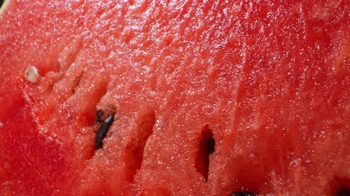 Watermelon in macro video