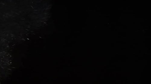 Sparkling Particles Floating on Black Background