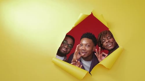 Ok Sign Satisfied Black Men Great Place Happy