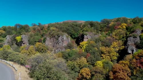 Colorido bosque otoñal. Vista aérea del bosque en otoño. Escena otoñal.