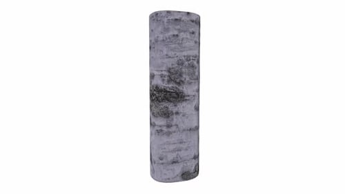 Textured Gray and White Cylinder
