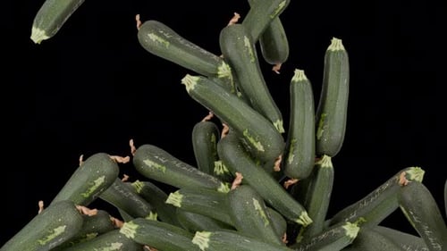 Falling Zucchini Screen Fill Transition