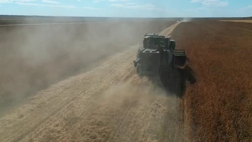 Agriculture Machine Harvesting Grain in Field, Aerial Footage.