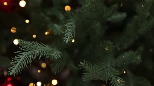 Christmas Tree with Bokeh Lights and Red Ornaments