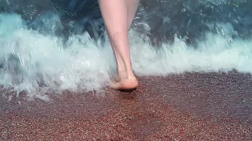 Bare Feet Walking on Wet Beach Shoreline