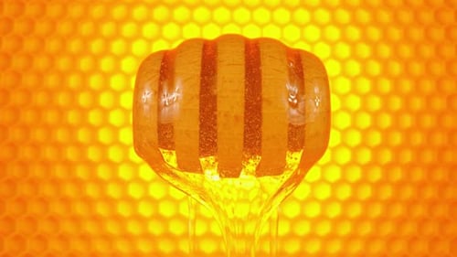 Honey and Honeycomb